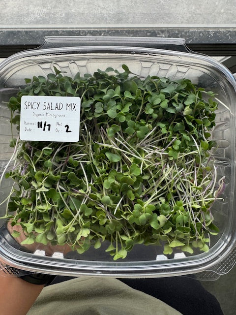 Spicy Salad Mix