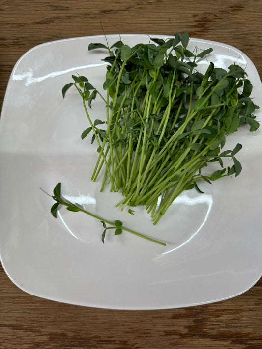 Pea Shoots